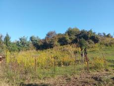 Дом с земельным участком 124 соток.