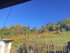 Дом с земельным участком 124 соток.