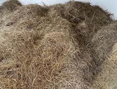 Продам сено