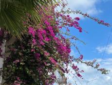 На выходные 