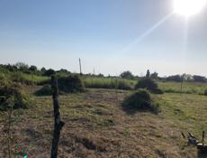 Алахадзе ,улица степная ,на против второй улицы !!