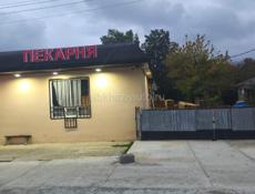 Пиломатериалы из Белоруссии