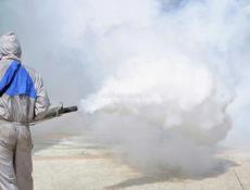 Уничтожение насекомых, грызунов, плесени 