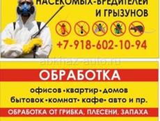 Уничтожение насекомых, грызунов, плесени 