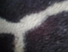 Продам участок с ветхим строением