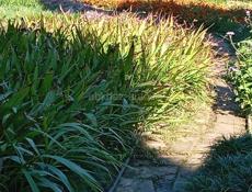 Золотой берег 25соток с документами. 