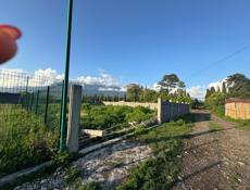 Пицунда, Алахадзы 6,5 сот