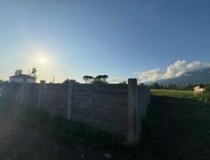 Пицунда, Алахадзы 6,5 сот