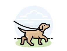 Выгул Сабак 