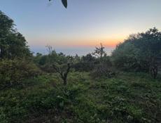 Земельный участок 25 соток с домом, все документы в порядке домовая книга , довоенная собственность