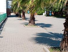 Сдаётся длительно 