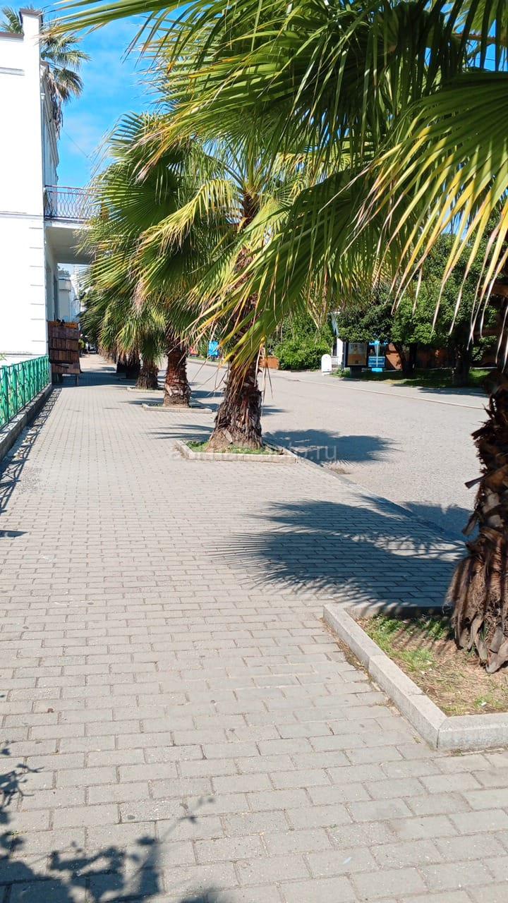 Сдаётся длительно 