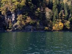 ПОЙДЁМ СБОР МАНДАРИНЫ  !! ЗА ЯЩИК 200.250