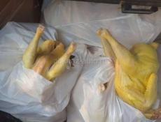 КУРОЧКИ СВЕЖЫЕ 