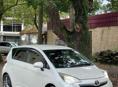 Toyota Allex