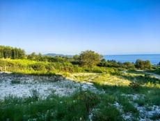 Новый Афон 6 соток 300 т срочно