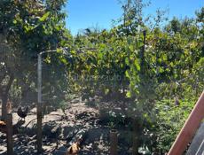 Дом в Агудзере