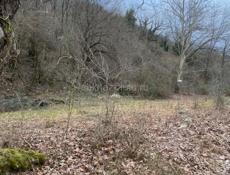 Каманы! Цена снижена!