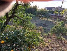 Ачадара участок