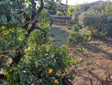 Ачадара участок