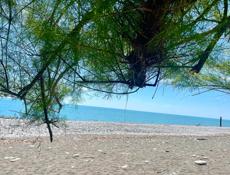 СДАМ НА МЕСЯЦ ДВУШКУ У МОРЯ