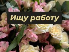 в поисках работы