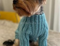 Вязаный джемпер для собачки