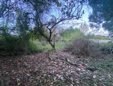 Продаю участок 22 сотки