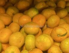 Продаю мандарины