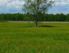 Участок обмен на квартиру 