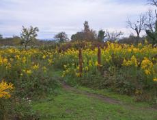 Продаётся участок в селе кындыг 