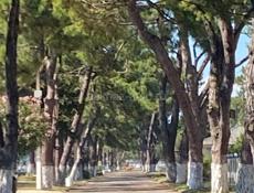 Квартира Очамчыра