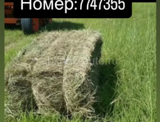 Сено в тюках 