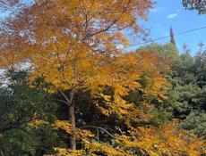 Оператор товаровед 