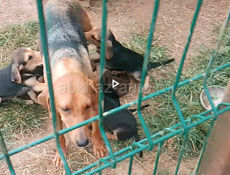 Кабель 4 месяца