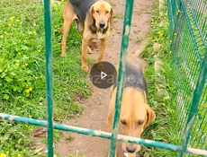 Кабель 4 месяца