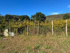 Участок на яштухн