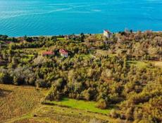 🏠Продается земельный участок для строительства санаторно-курортного комплекса