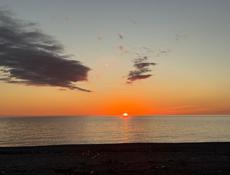 Сдам до мая 