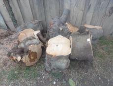 Продам дрова