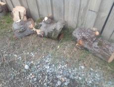 Продам дрова