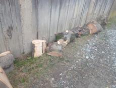 Продам дрова