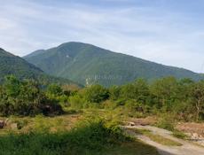 Участок по центральной дороге на Бзыби