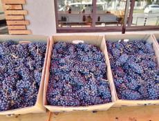 Продаётся виноград