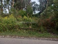 Срочно продается участок!