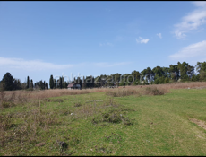 Алахадзе 6 соток