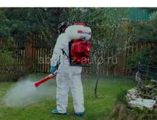 Уничтожение короедов, клопов