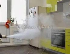 Уничтожение короедов, клопов