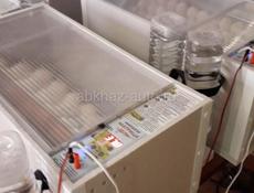 Продам инкубаторы "Матрица Дели"