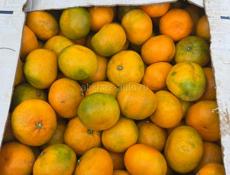 Нужны сборщики мандарин 